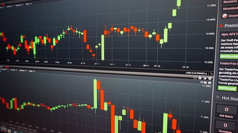 开云体育官方app-高校体育课程国际比较分析，国内高校体育课程现状