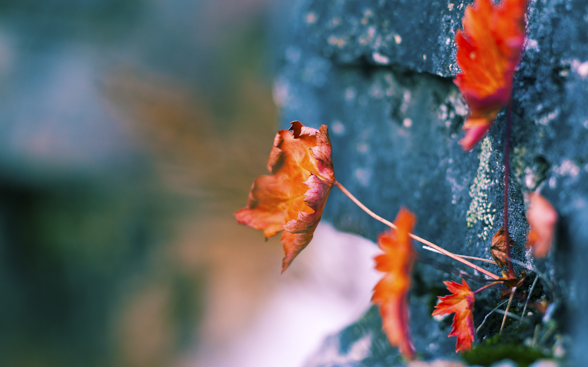 黎巴嫩男篮在西亚锦标赛中拼搏不止，冲击奥运门票，黎巴嫩男篮世界排名
